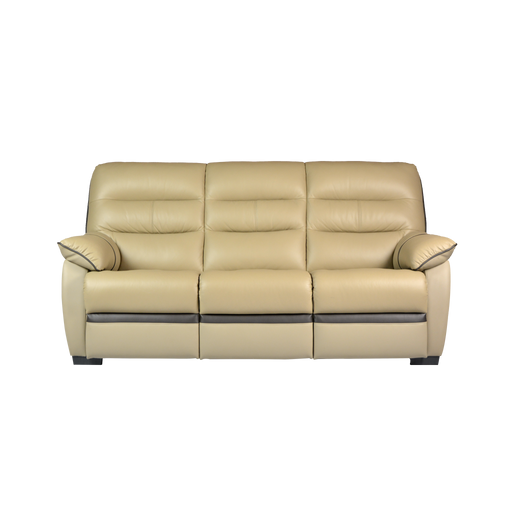 Apollos 3 Seater Sofa, Half Leather - Novena Furniture Singapore