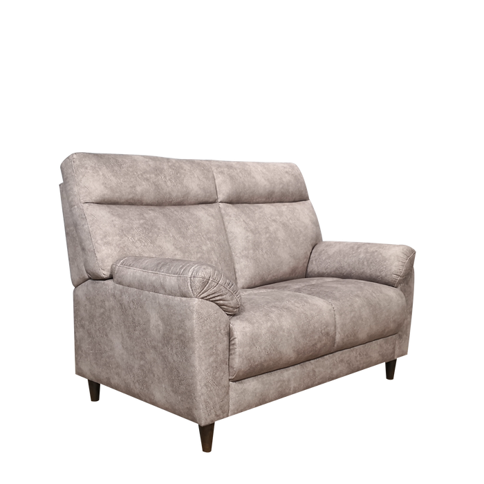 Deanna 2 Seater Sofa, Fabric - Novena Furniture Singapore