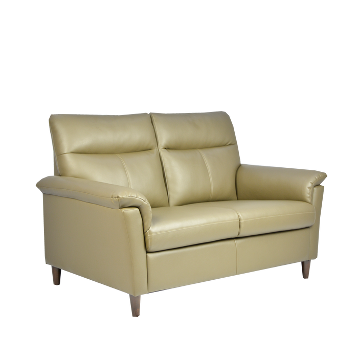 Doma 2 Seater Sofa, Simulated Leather - Novena Furniture Singapore