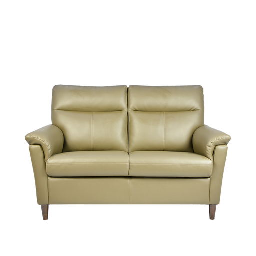 Doma 2 Seater Sofa, Simulated Leather - Novena Furniture Singapore