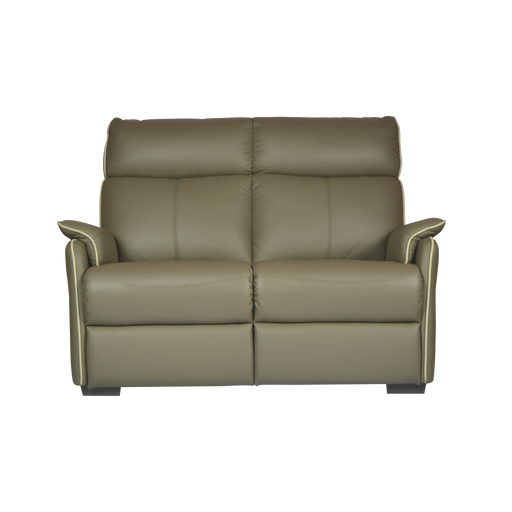 Silas 2 Seater Sofa, Half Leather - Novena Furniture Singapore