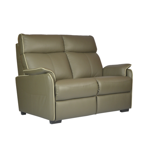 Silas 2 Seater Sofa, Half Leather - Novena Furniture Singapore